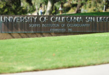 Making yeast more efficient ‘cell factories’ for producing valuable plant compounds yeast