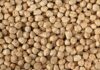 FSSAI cracks down on use of industrial dye in roasted chana FSSAI