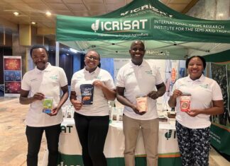 Reinventing Kenya’s snack future with dryland grains Kenya