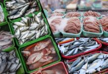 Seafood exports – Multi-pronged strategy to mitigate impact of US tariffs seafood