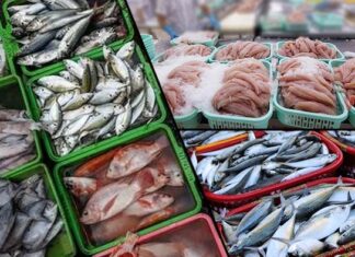Seafood exports – Multi-pronged strategy to mitigate impact of US tariffs seafood