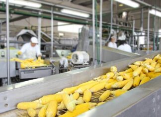 Support for small-scale food processing units food