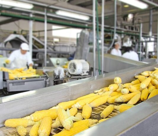 Support for small-scale food processing units food