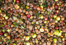 India strengthens cold-chain infra to reduce post-harvest food losses food