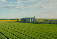 Riddhi Siddhi Gluco Biols re-enters starch business with Cargill India Buy Riddhi