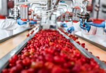 India’s food processing sector records strong growth – Govt Food