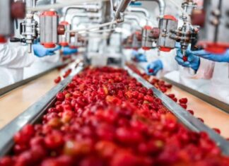 India’s food processing sector records strong growth – Govt Food