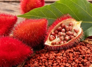 annatto