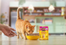 The Vargeão site will nearly double Nestlé Purina's wet pet food production capacity in Brazil, using advanced manufacturing technologies including robotics, IoT, AI, and an Integrated Operations Center, and running on 100% renewable energy.