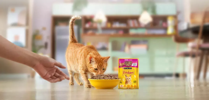 The Vargeão site will nearly double Nestlé Purina's wet pet food production capacity in Brazil, using advanced manufacturing technologies including robotics, IoT, AI, and an Integrated Operations Center, and running on 100% renewable energy.