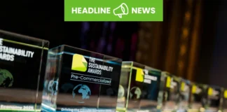 Sustainability Awards Crystal Trophy