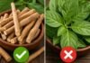 FSSAI bars use of Ashwagandha leaves in food products FSSAI