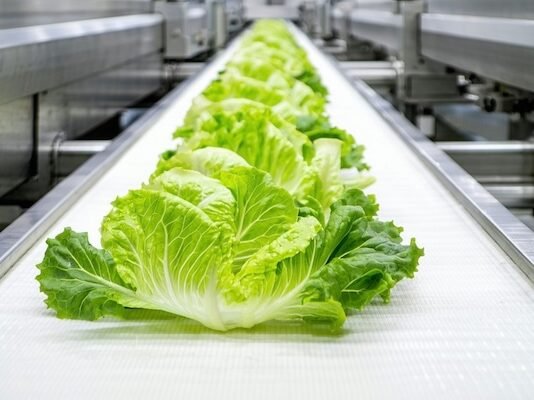 FDA nod for Clariant’s bio-based additives in rigid PVC food-contact applications Clariant