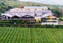 Sula Vineyards reports 7% revenue growth YoY in Q4FY26 Sula
