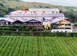 Sula Vineyards reports 7% revenue growth YoY in Q4FY26 Sula