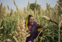 agri