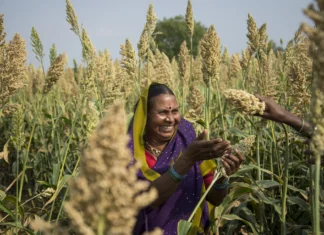 Why agri-input dealers matter more than ever in an era of agricultural uncertainty agri
