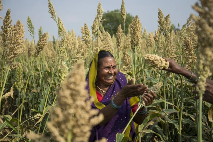 agri agri