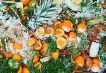 The Chancery Lane Project collabs with WRAP to tackle food waste Chancery