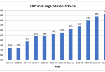 sugarcane