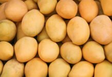 Reversing the 2026 Japan Fruit Export Ban fruit
