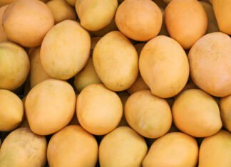 Reversing the 2026 Japan Fruit Export Ban fruit