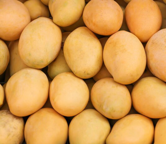 fruit