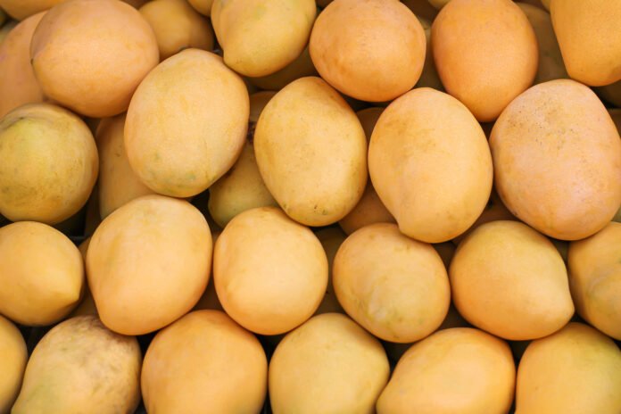 fruit fruit