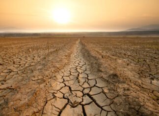 Extreme heat threatens India’s rice bowl & farms — FAO-WMO report heat