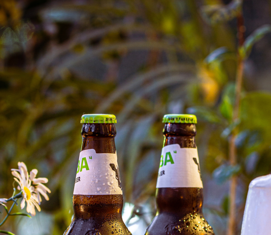 Adie Broswon Breweries signs deal with United Breweries Broswon