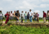 Odisha’s oilseed transformation strengthens India’s drive toward edible oil self-reliance Odisha
