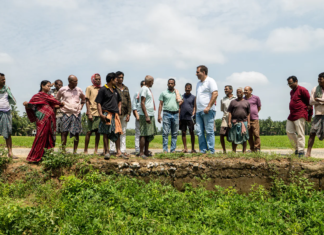 Odisha’s oilseed transformation strengthens India’s drive toward edible oil self-reliance Odisha