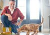 Nestlé Purina’s CHF 520 million investment in Italy pet food plant Nestlé