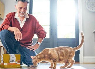 Nestlé Purina’s CHF 520 million investment in Italy pet food plant Nestlé