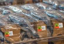 Redefining cold chain visibility vistab
