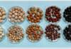 ICAR’s genome breakthrough for better pigeonpea varieties ICAR