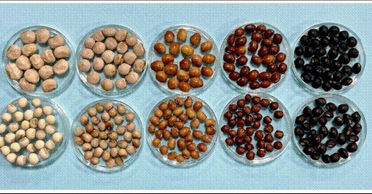 ICAR’s genome breakthrough for better pigeonpea varieties ICAR