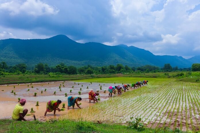 Odisha