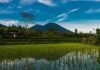 Biodiversity authority