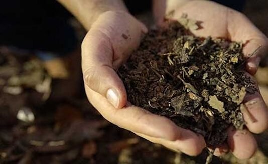 How the Nescafé Plan is changing the coffee supply chain coffee