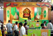 DS Group’s Pulse Candy celebrates Ganesh Mahotsav Pulse