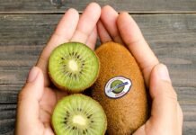 Futamura and Bio4Life — Breakthrough for home compostable fruit labeling
