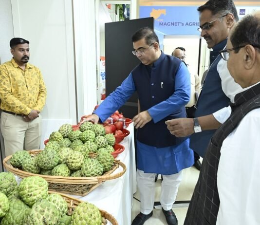 ₹1,000 crore investment opportunity for agribusiness infrastructure in Maharashtra agribusiness
