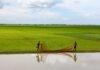 Bangladesh