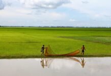 Bangladesh