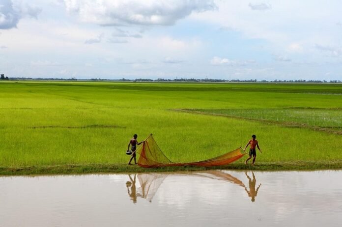 unnamed (100) Bangladesh